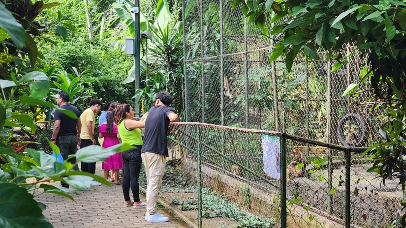 ZOOLOGICO-(17)