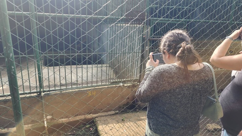 ZOOLOGICO-(7)