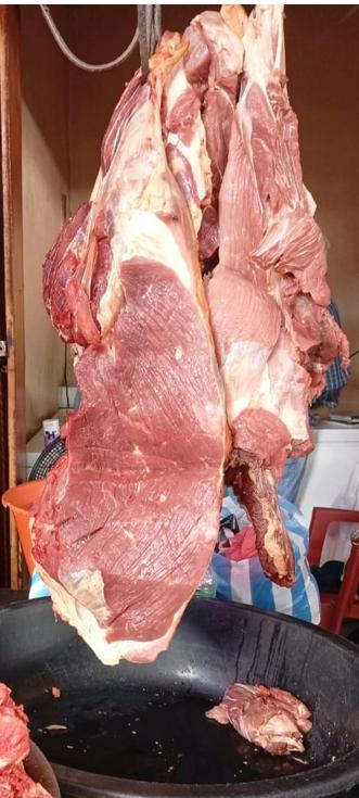 CARNE-PORCINA5