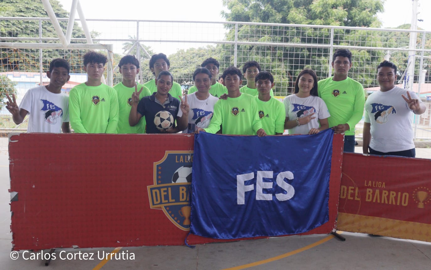 FES3
