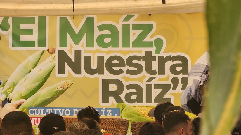 MAIZ18