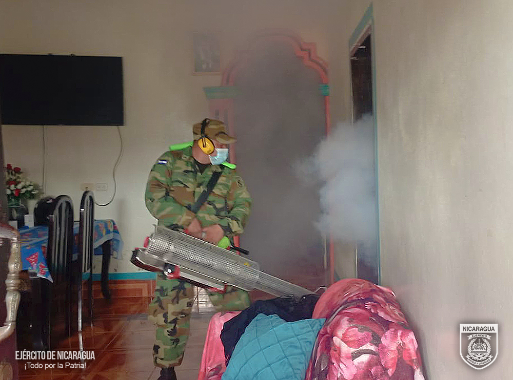 FUMIGACION4