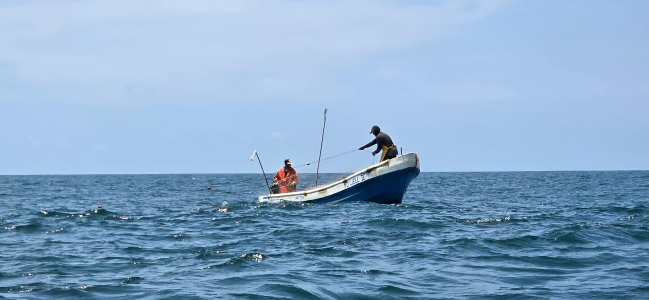 INPESCA8
