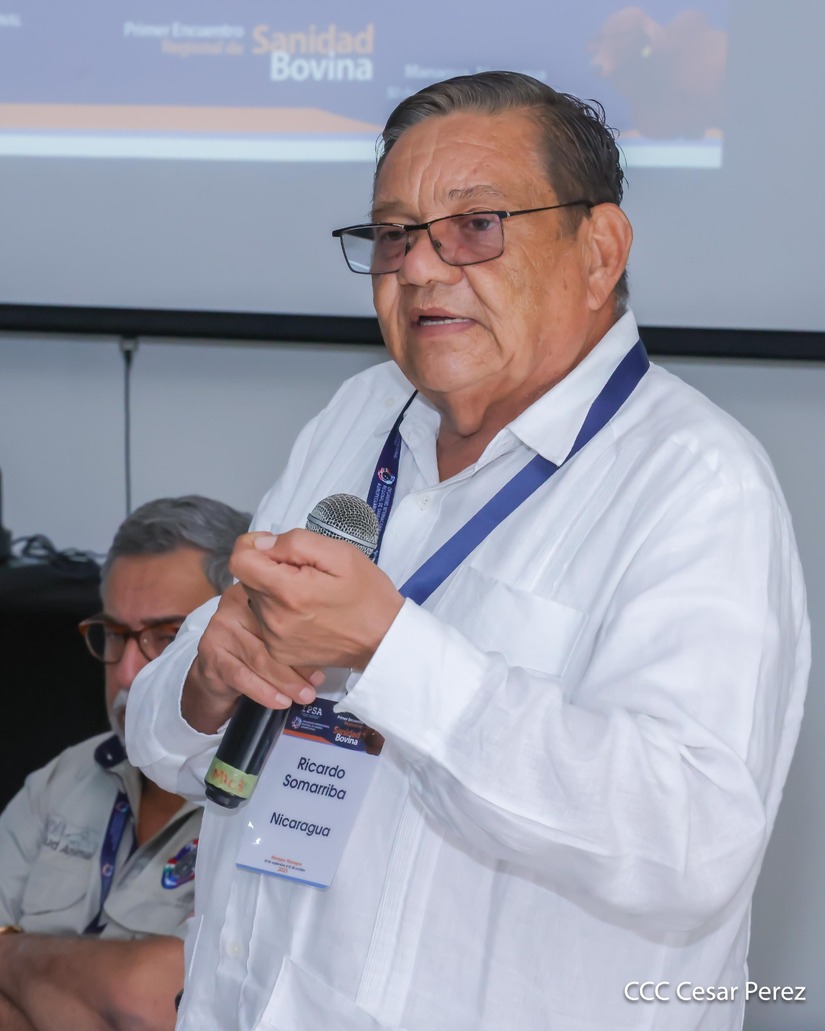 SANIDAD20