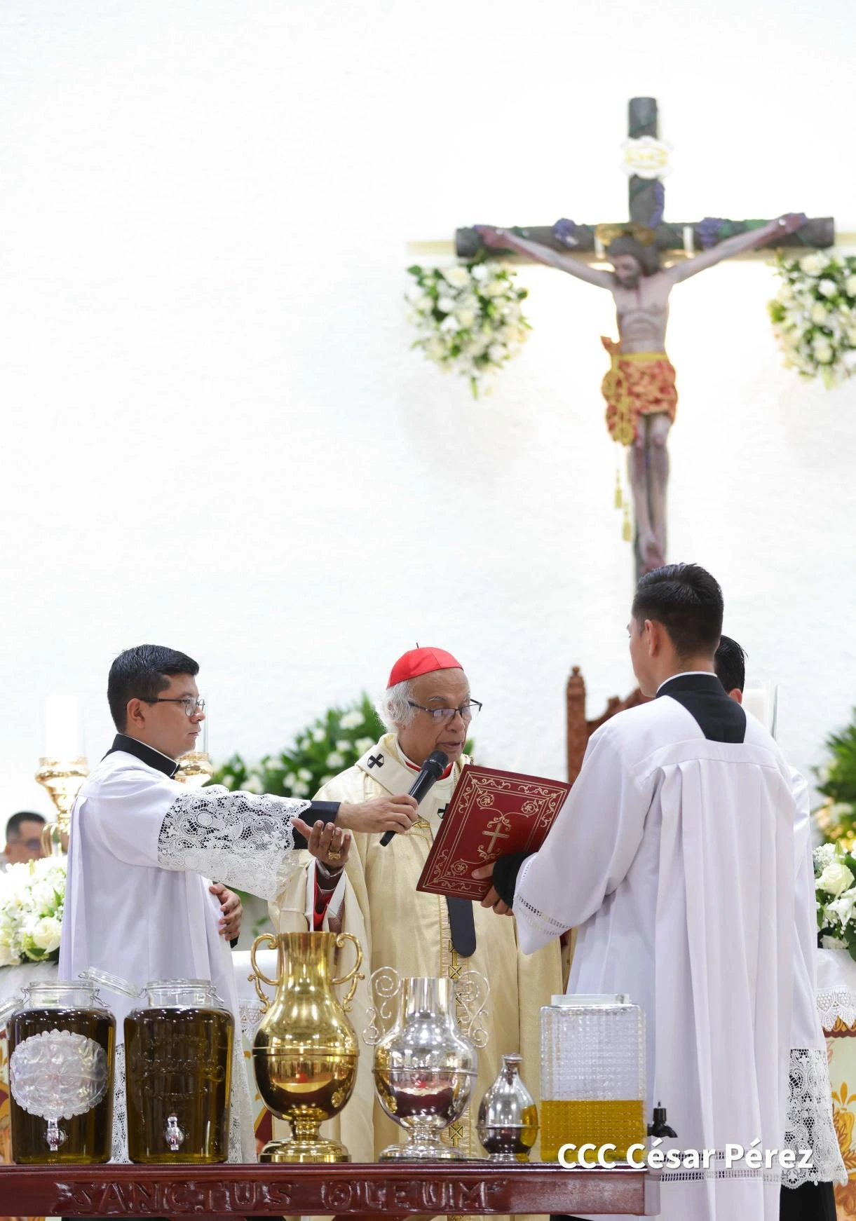 GALERIA-(17)