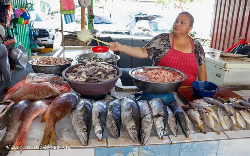 MERCADO3