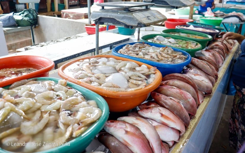 MERCADO6