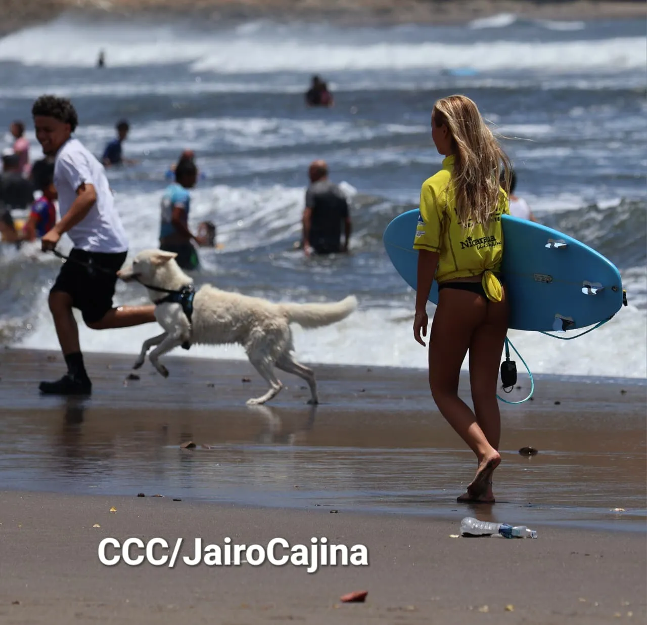 Surf--(17)