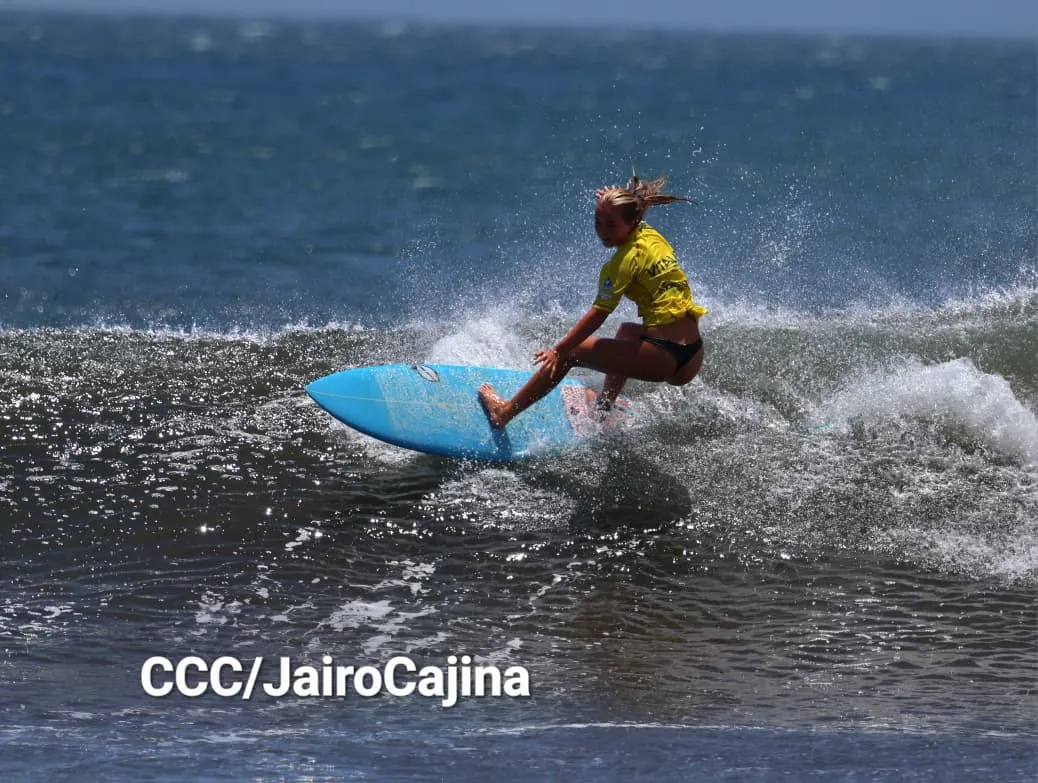 Surf--(50)