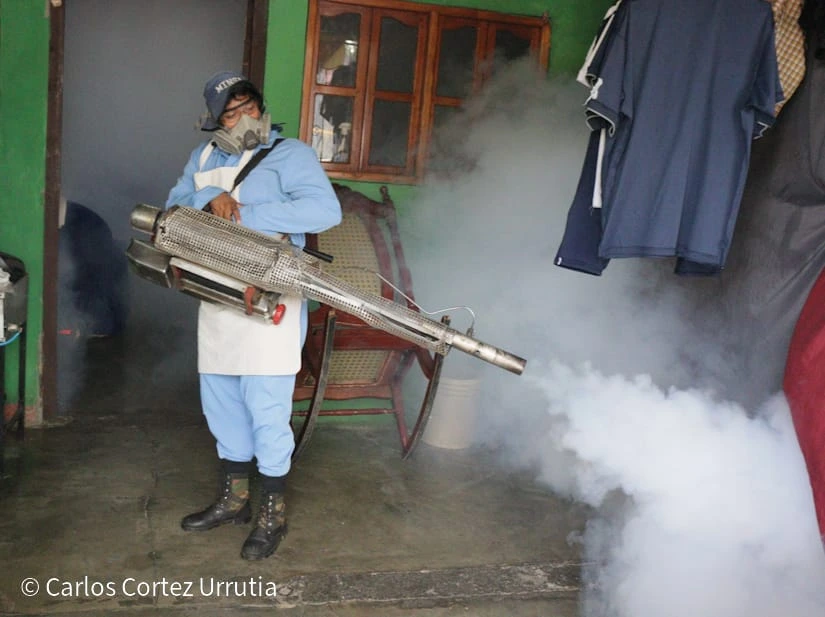 FUMIGACION12