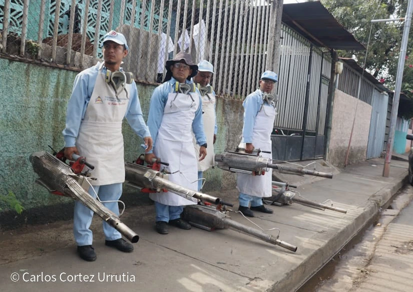 FUMIGACION7