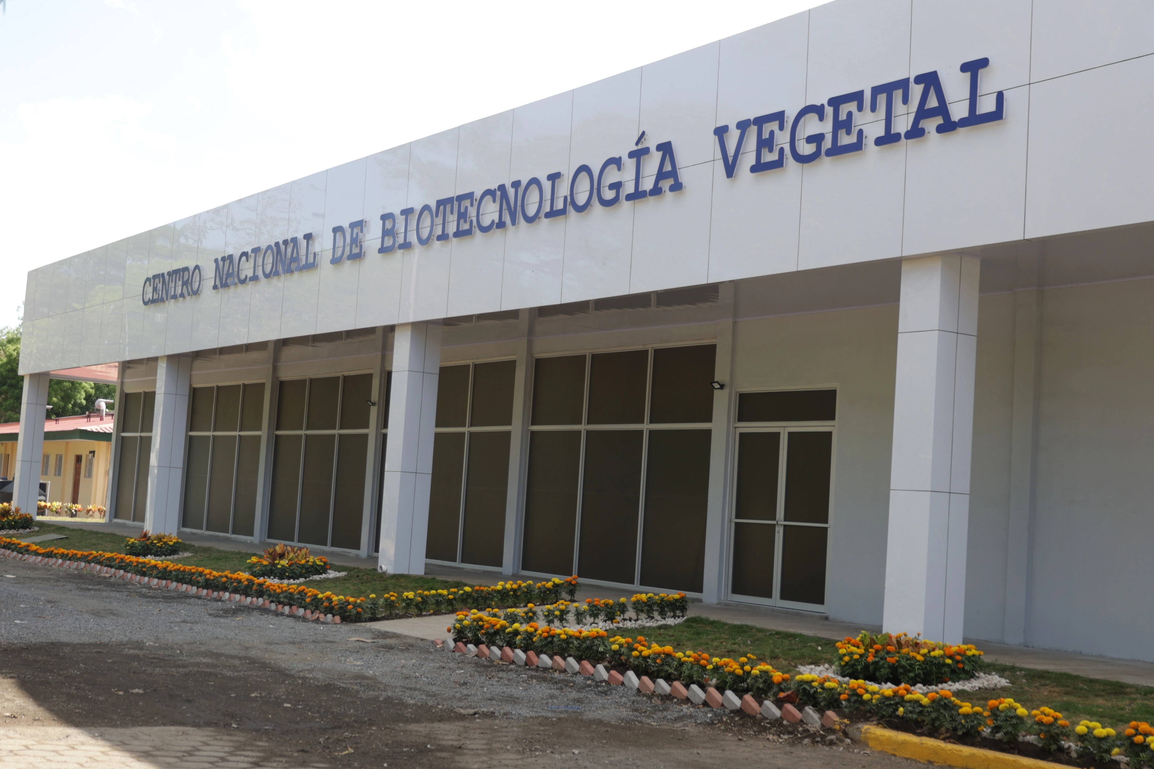 CENTRO-(18)