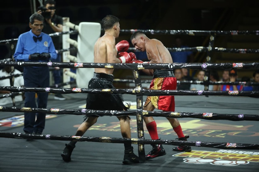 Boxeo--(23)