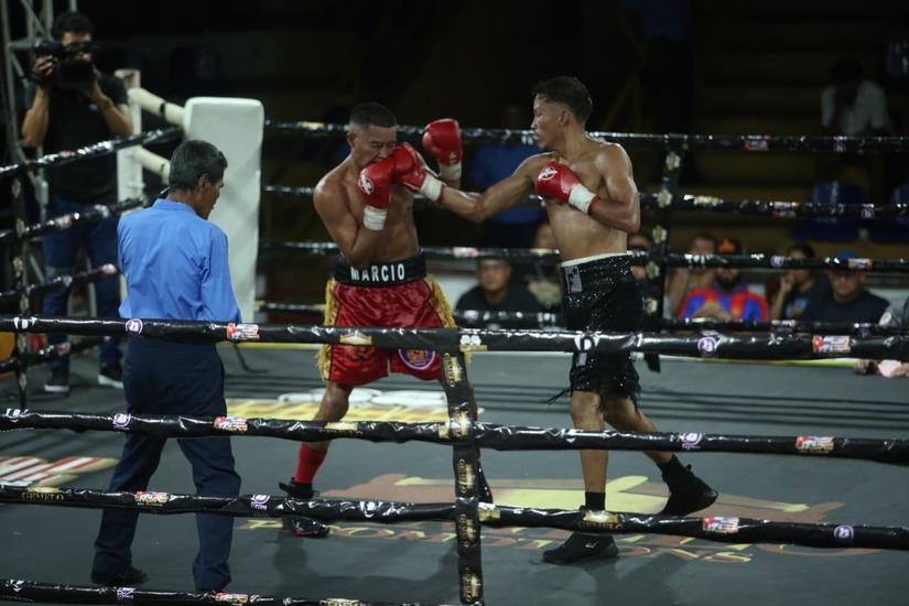 Boxeo--(27)