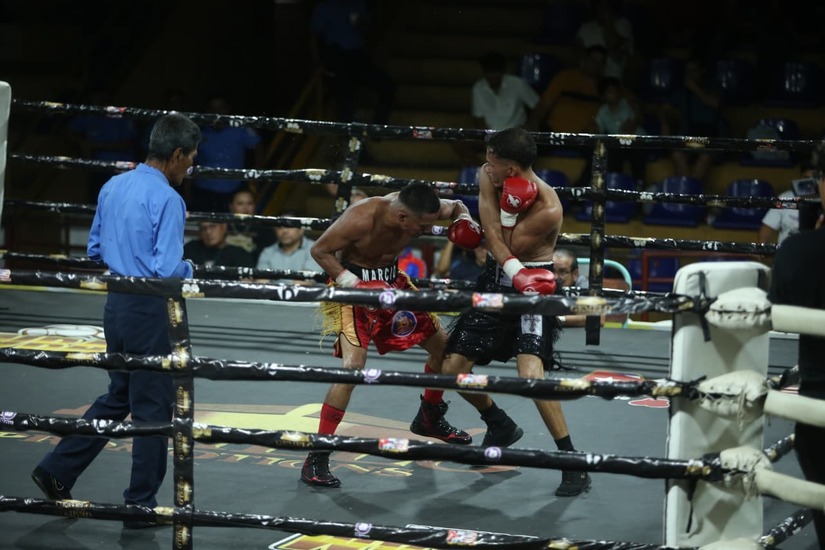 Boxeo--(31)