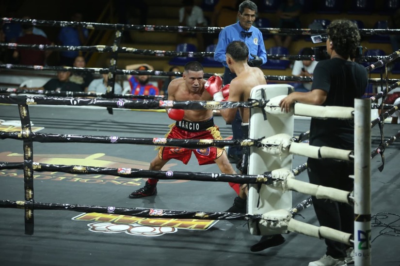 Boxeo--(40)