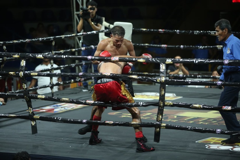Boxeo--(5)