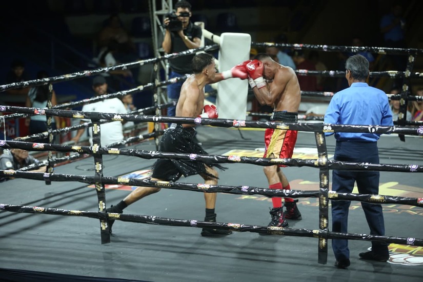 Boxeo--(50)