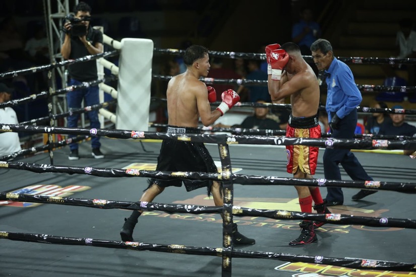 Boxeo--(53)