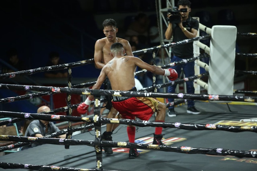 Boxeo--(61)