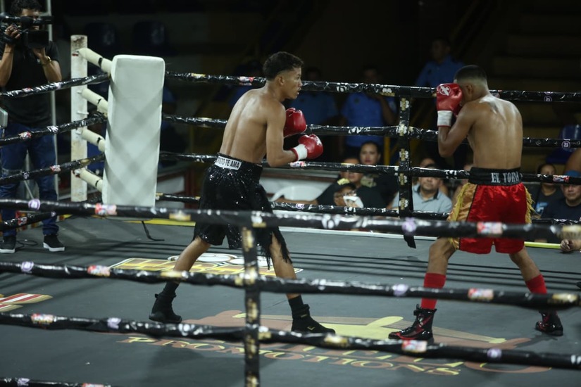 Boxeo--(73)