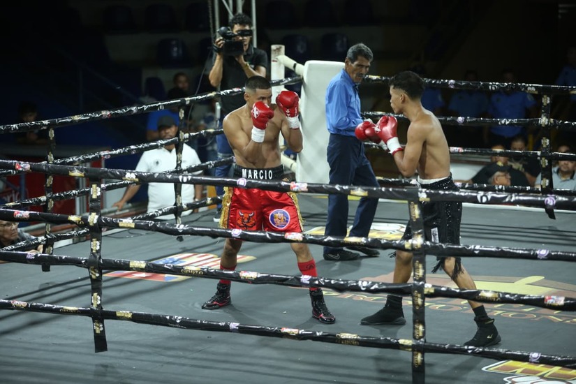 Boxeo--(74)