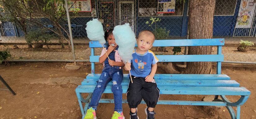 MINT--(11)