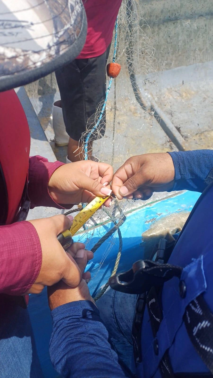 INPESCA5