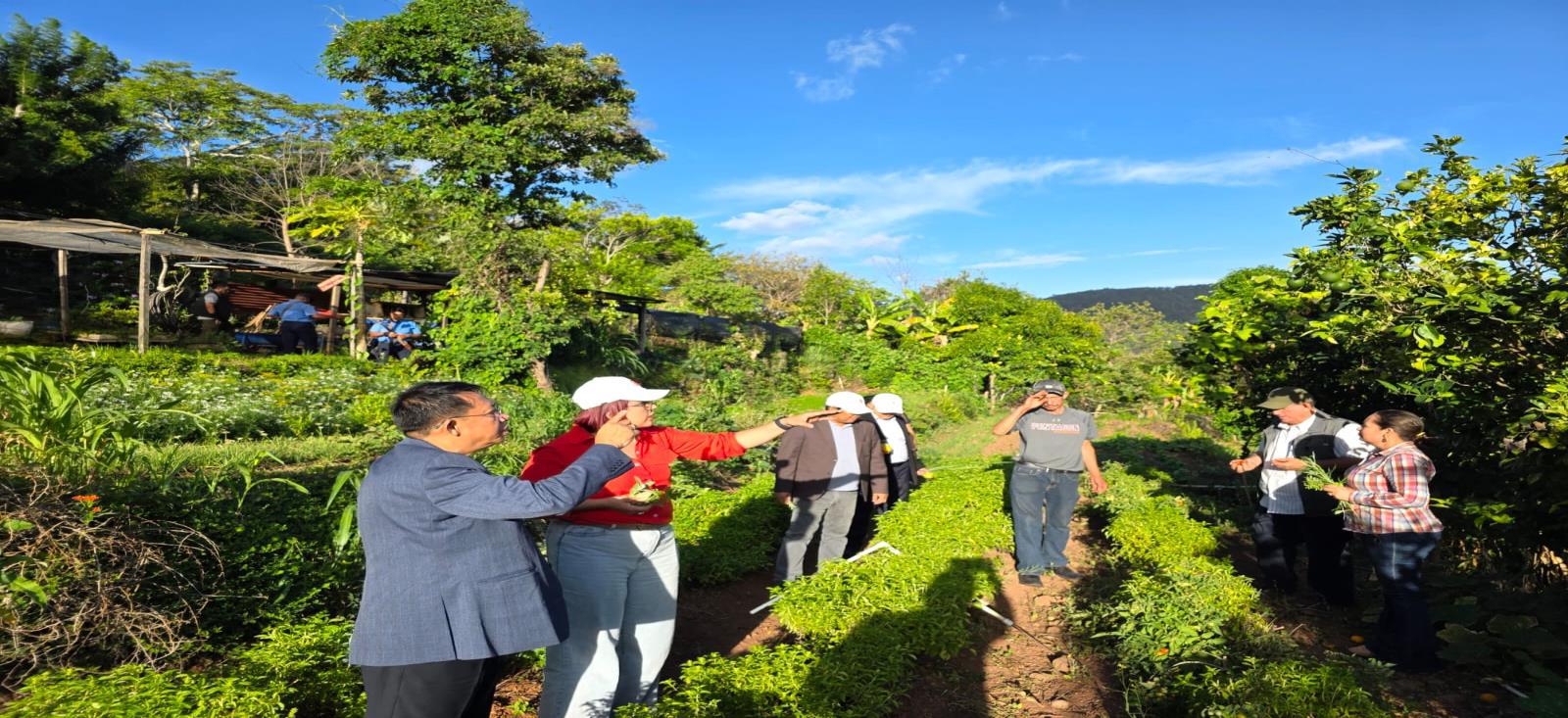 Esteli--(19)