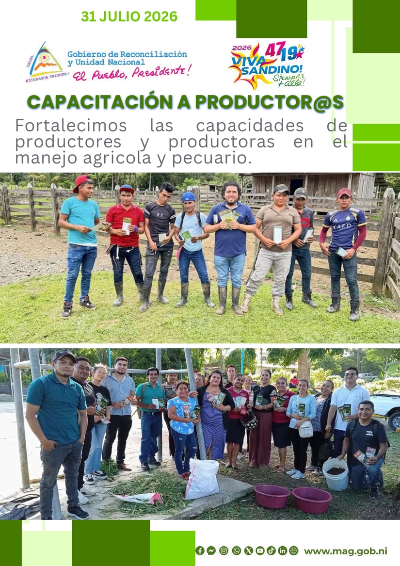 MAG--(7)