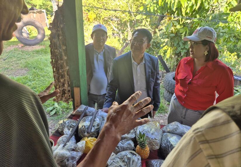 ESTELI--(11)