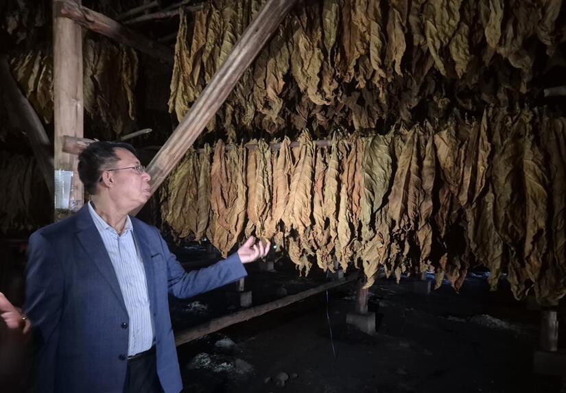 ESTELI--(7)