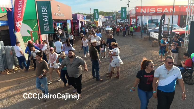 FERIA--(67)