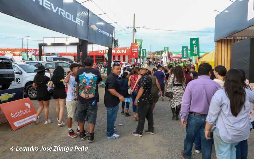 Feria--(16)