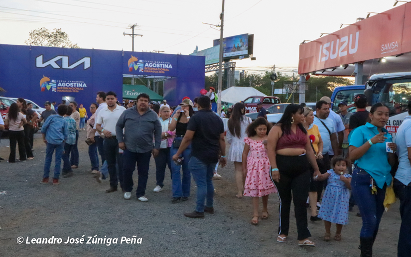 Feria--(3)