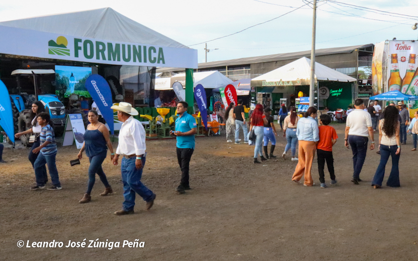 Feria--(32)