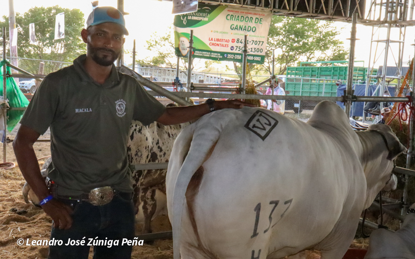 Feria--(39)