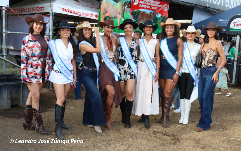 Feria--(41)