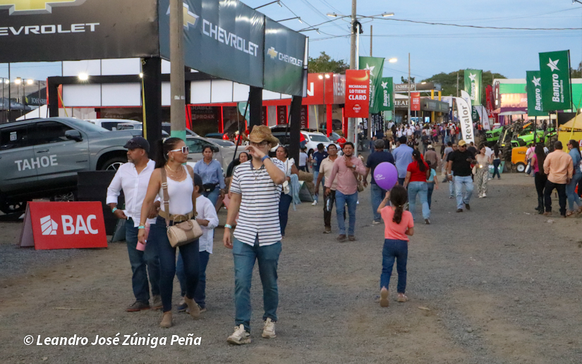 Feria--(8)