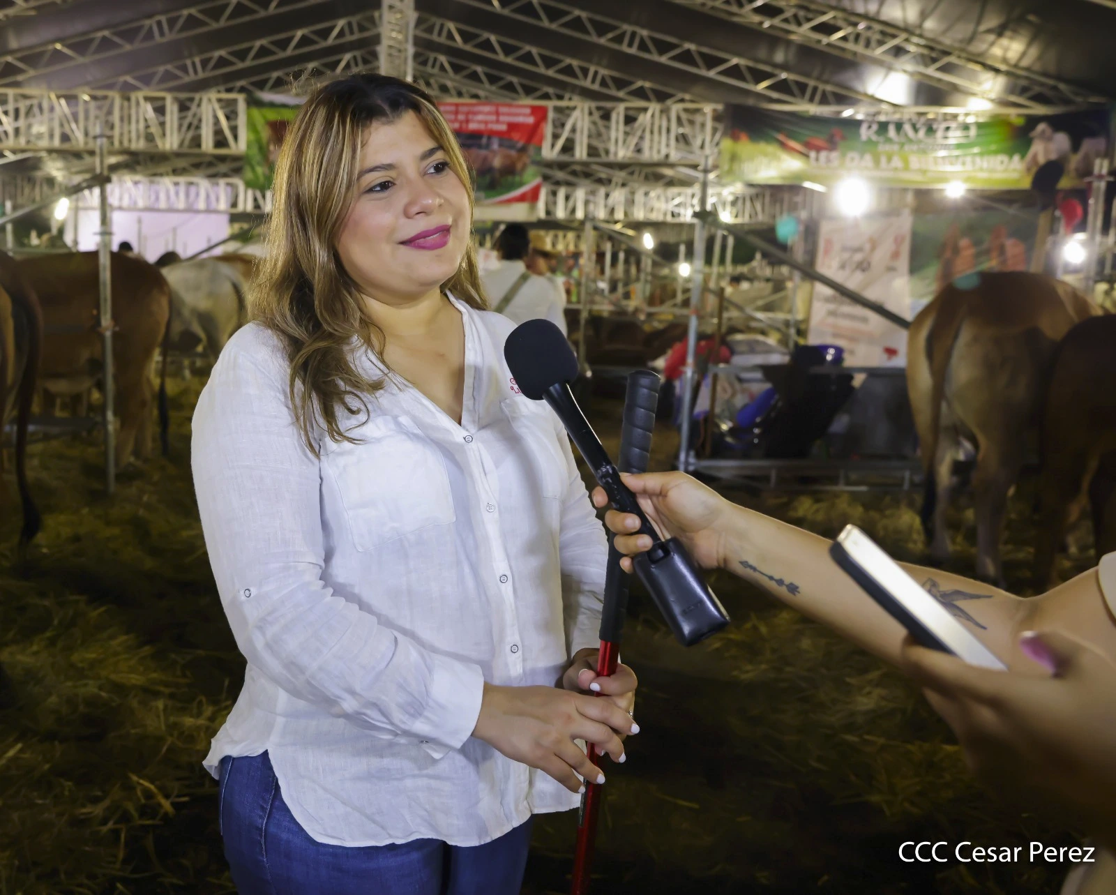 FERIA-(11)