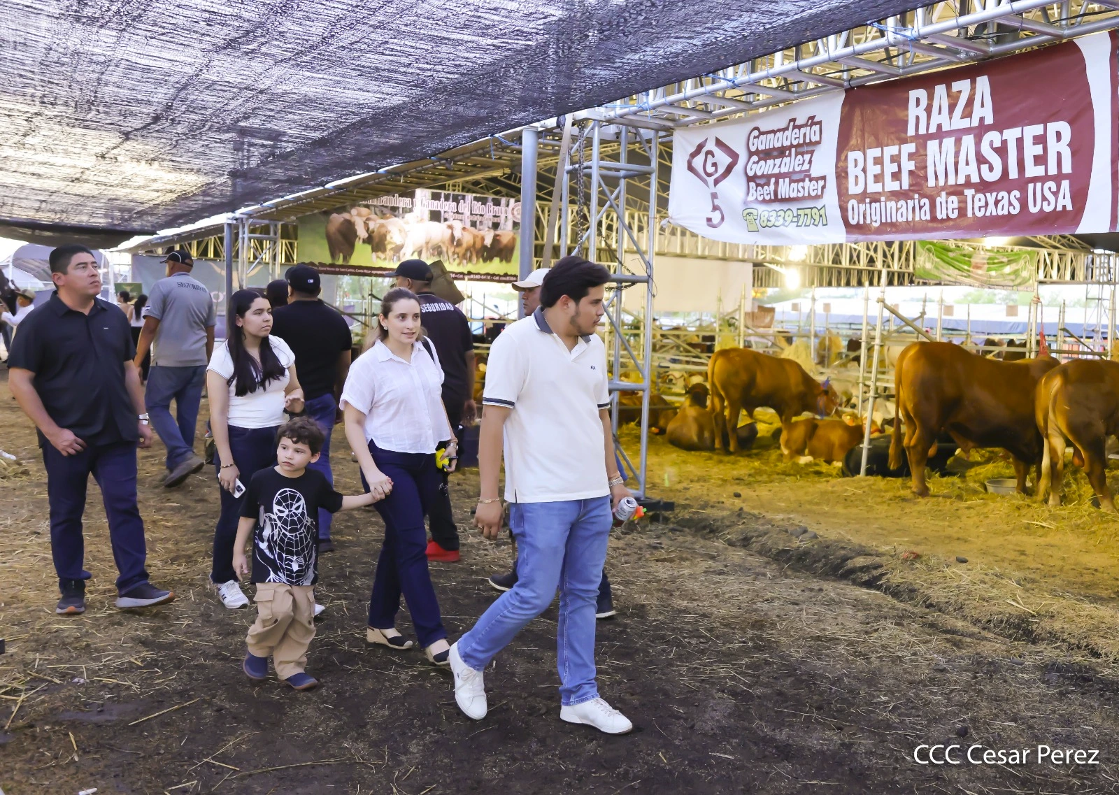 FERIA-(22)