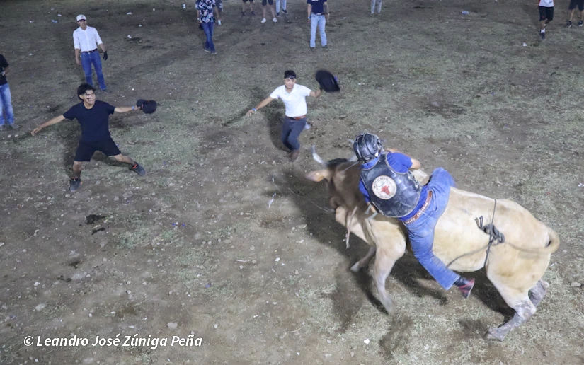 TOROS-(2)