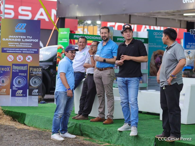Feria--(17)