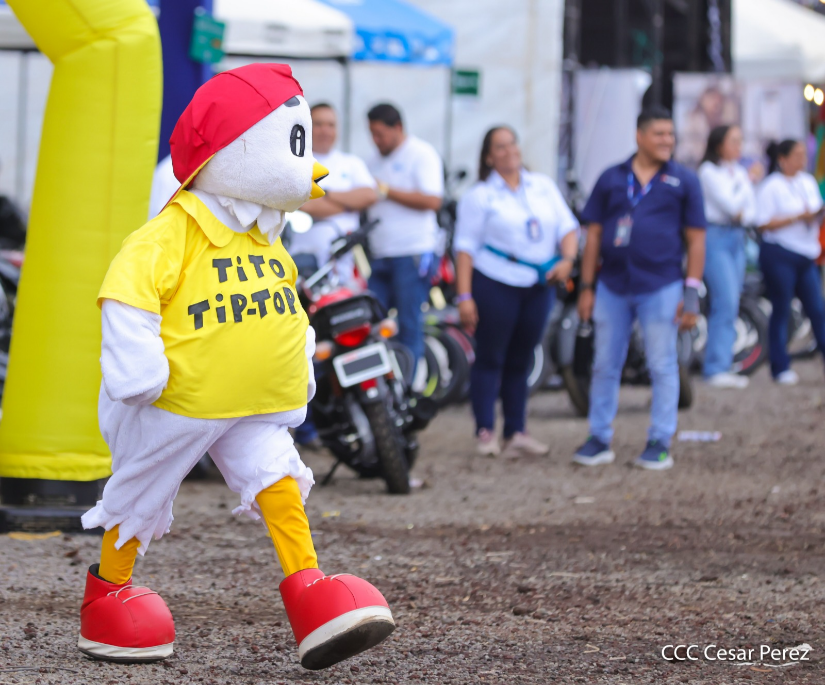 Feria--(18)