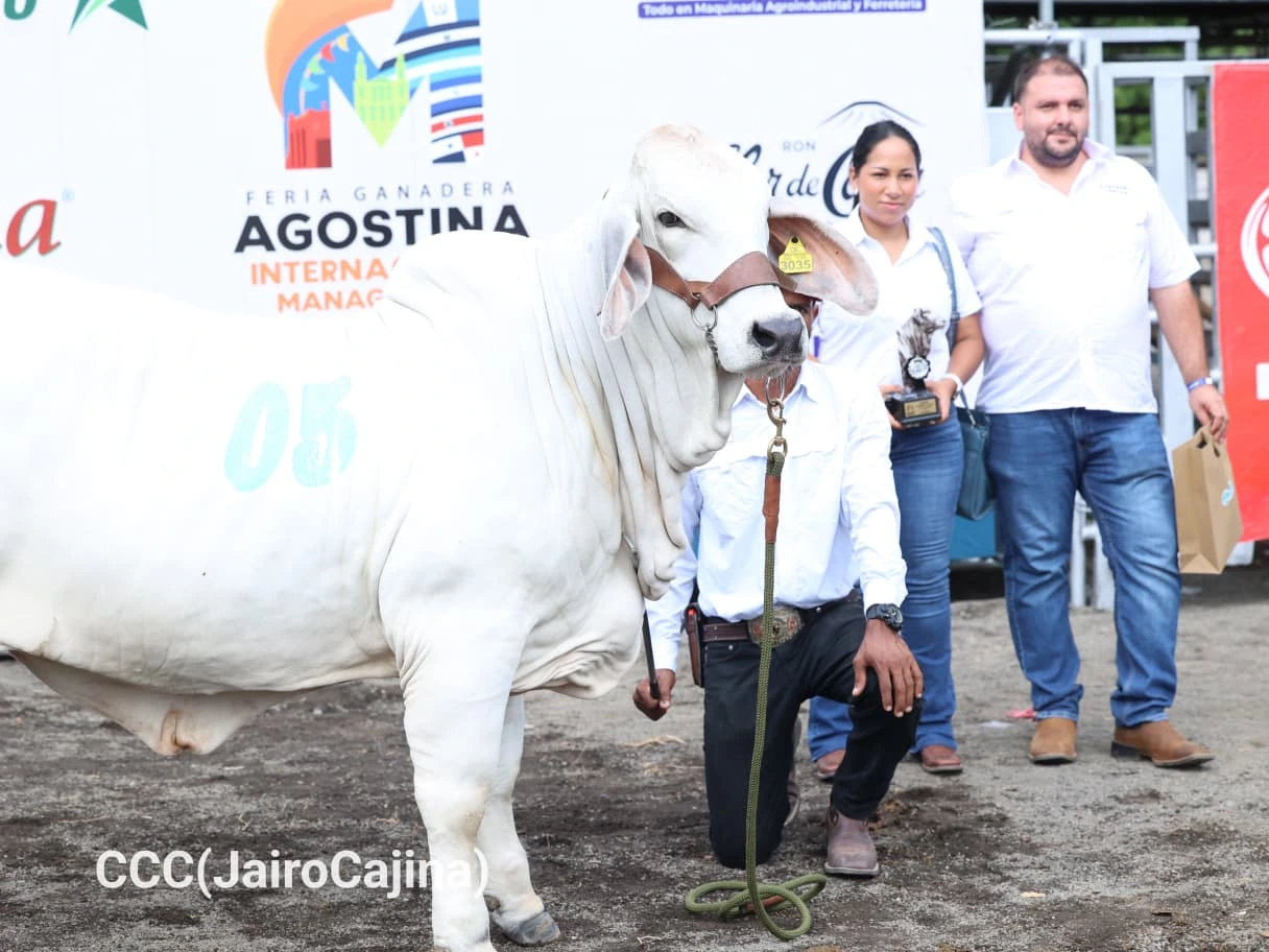 FERIA-(10)