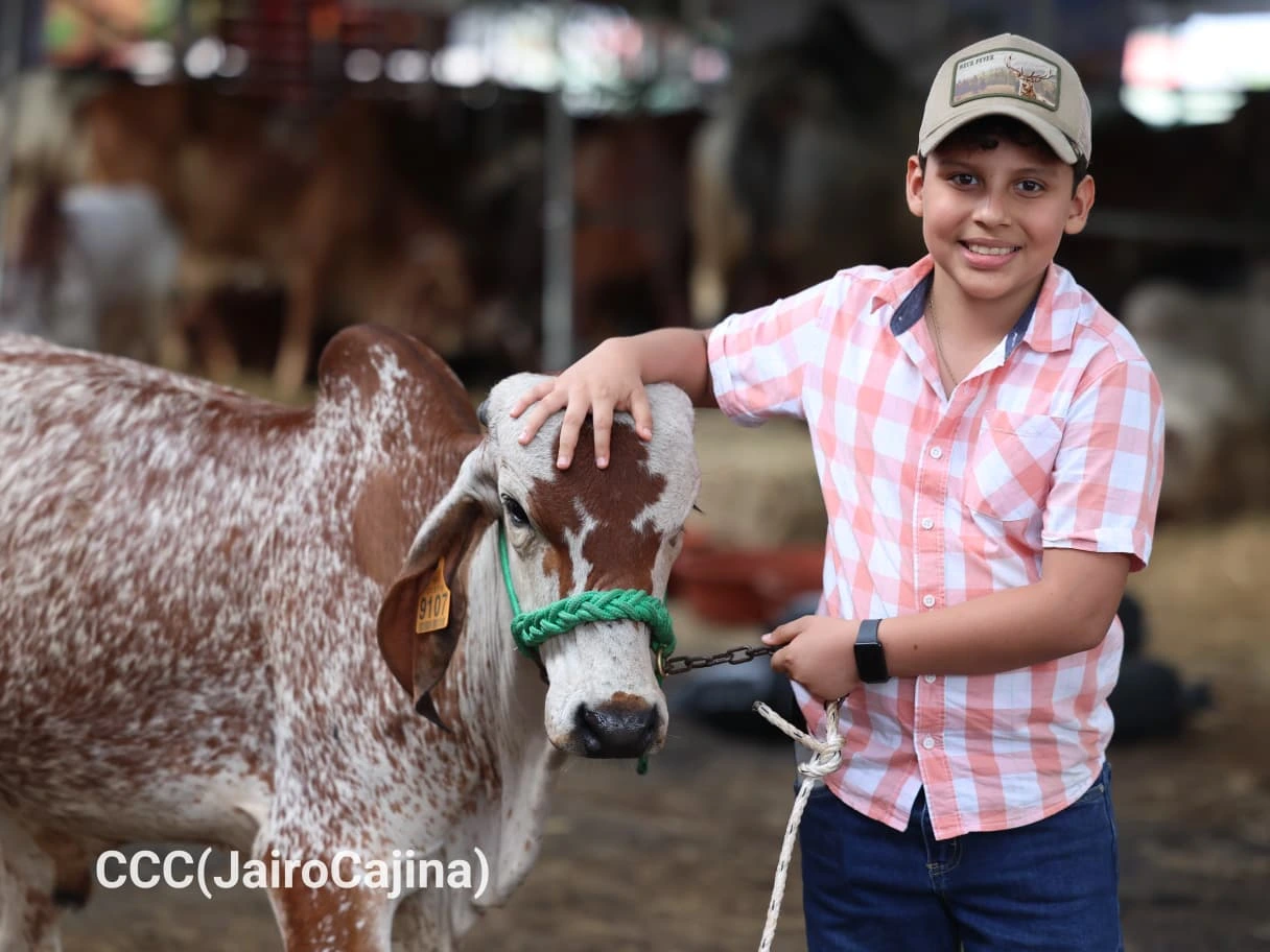 FERIA-(3)