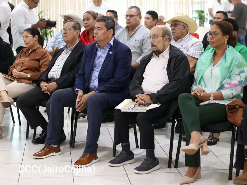 Consulta-8