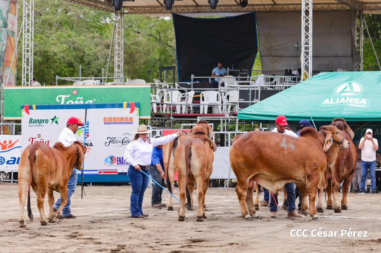 FERIA1