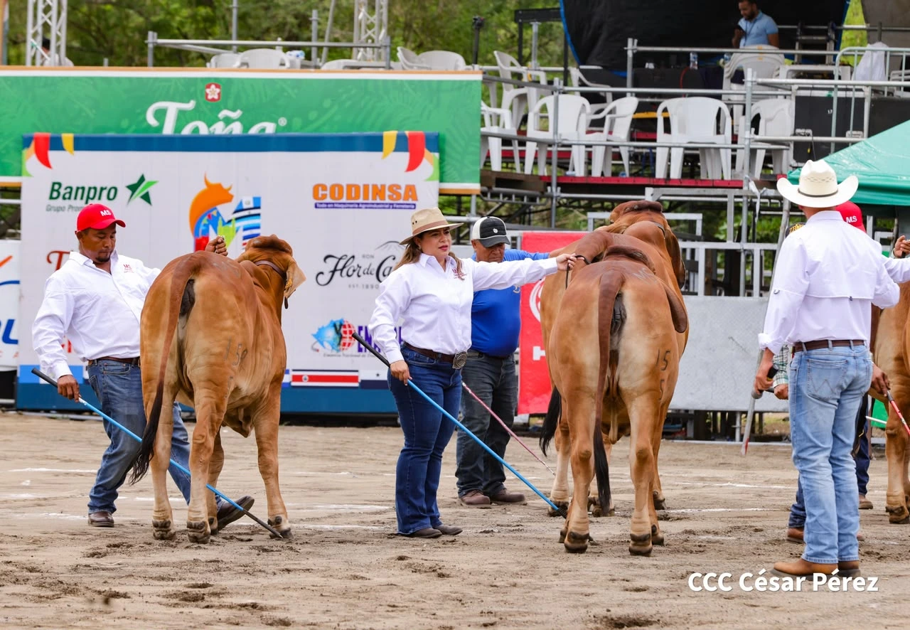 FERIA10
