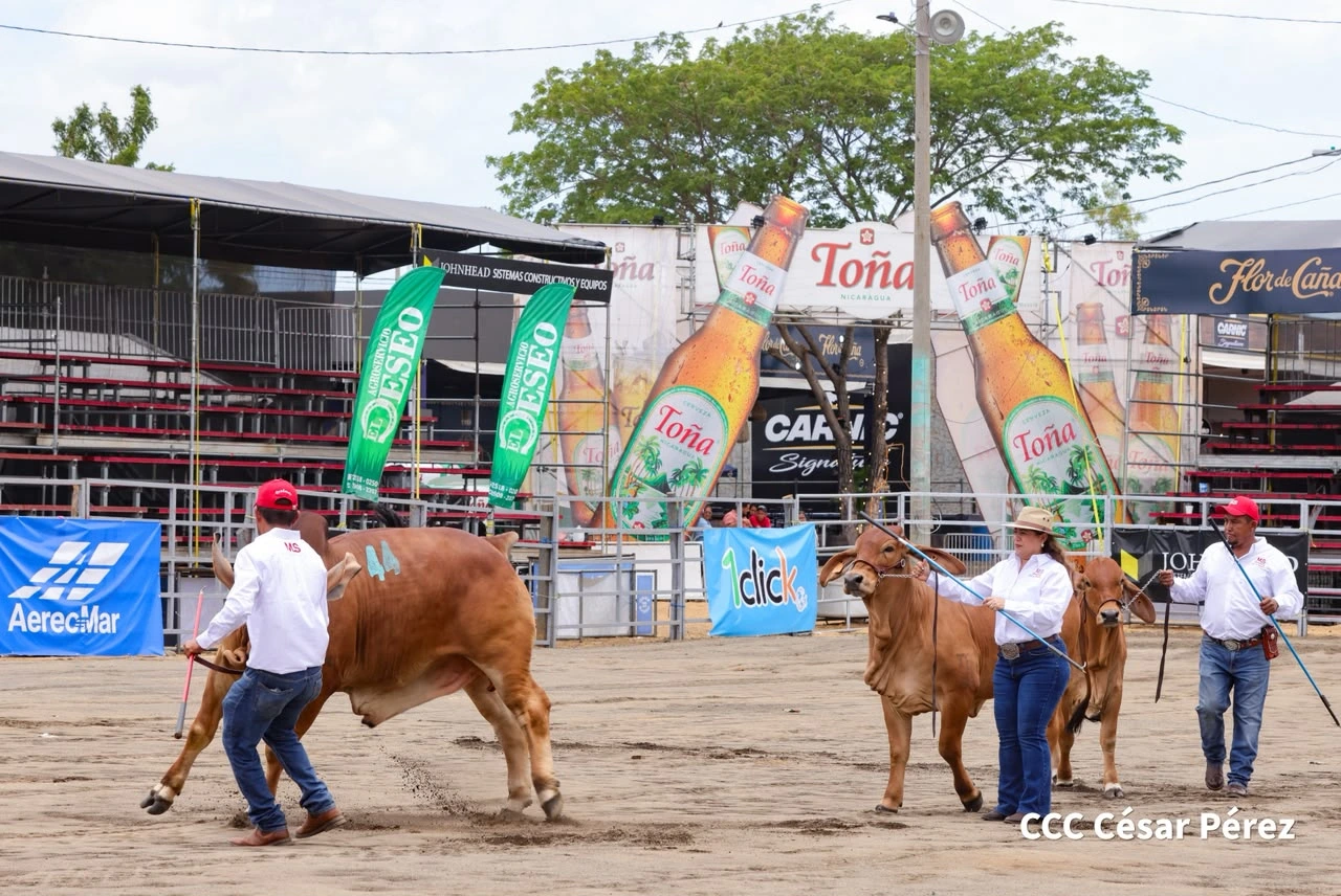 FERIA12